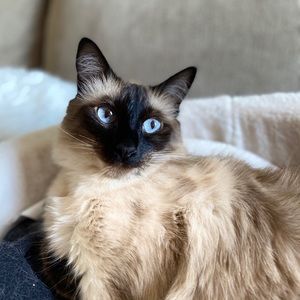 Meet your Posher, Cindy